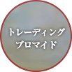 トレーディングブロマイド