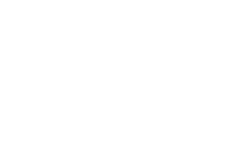 GUIDE